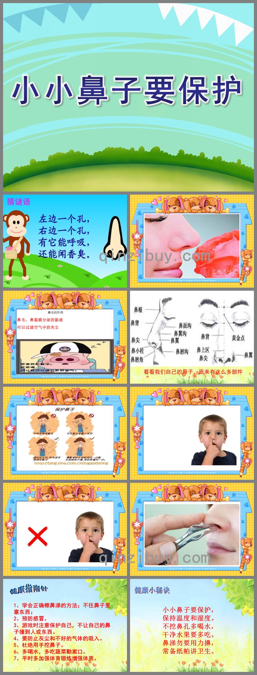 小班健康教育小小鼻子要保護PPT課件