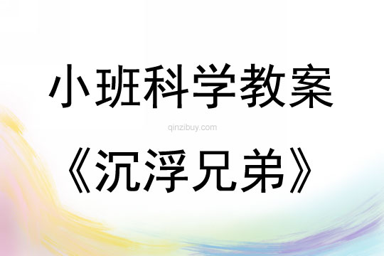 小班科學沉浮兄弟教案反思