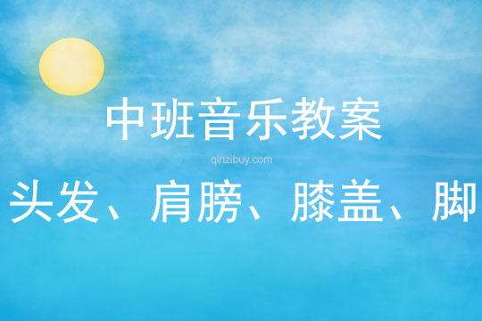 中班音樂頭發(fā)、肩膀、膝蓋、腳教案反思