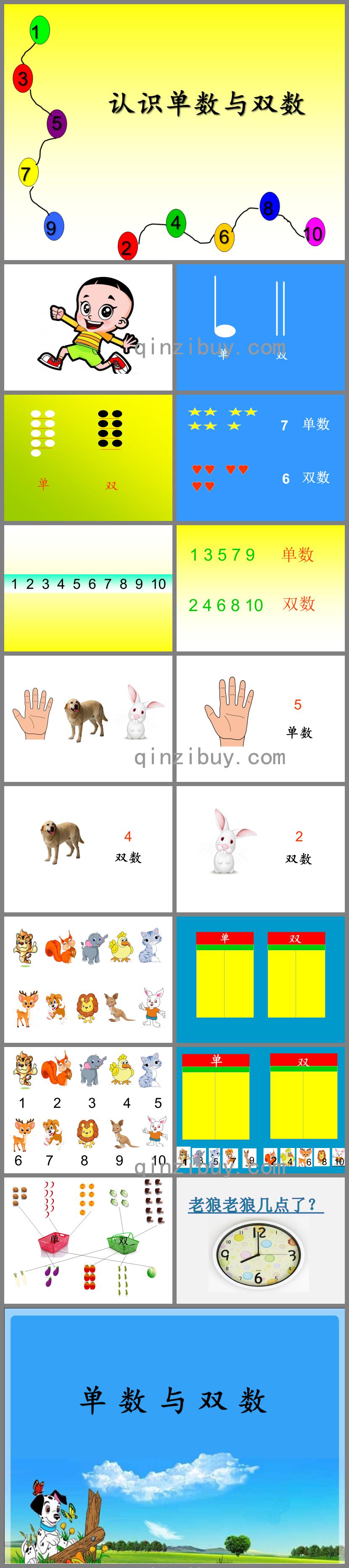 大班數學認識單數與雙數PPT課件