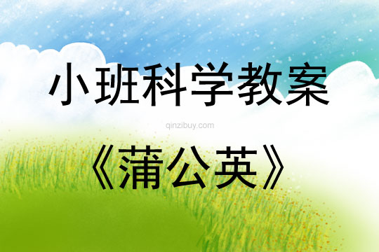 小班科學(xué)蒲公英教案反思