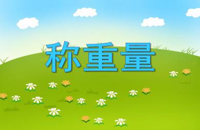 大班數學稱重量PPT課件