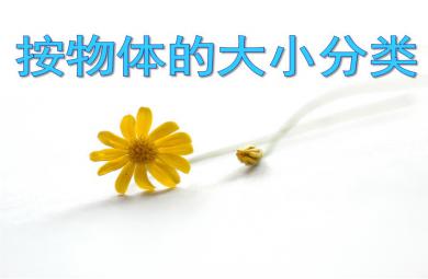 小班數學活動按物體的大小分類PPT課件