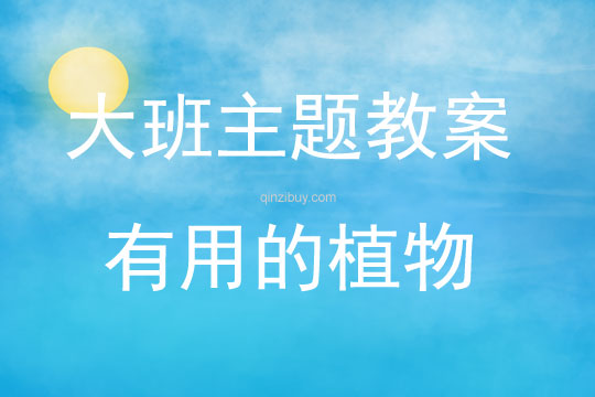 大班主題活動有用的植物教案反思