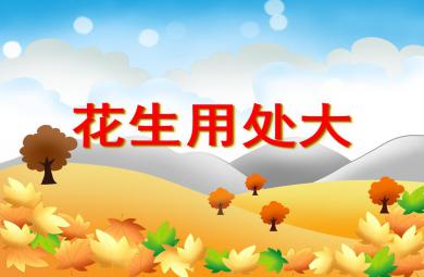中班綜合花生用處大PPT課件