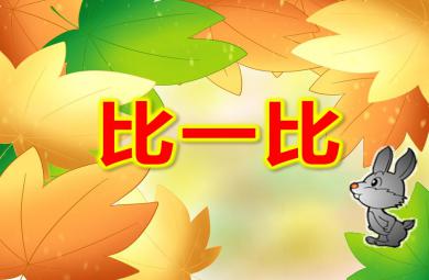 小班數學優質課比一比PPT課件