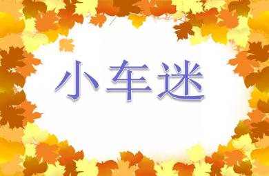 中班科學(xué)活動(dòng)小車迷PPT課件