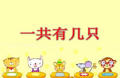 大班數學一共有幾只PPT課件