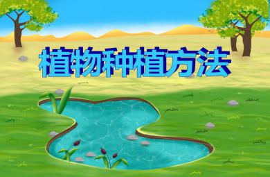 大班主題活動植物種植方法PPT課件