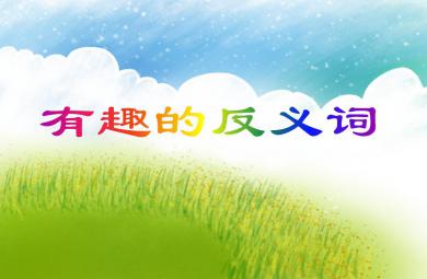 大班語言有趣的反義詞PPT課件