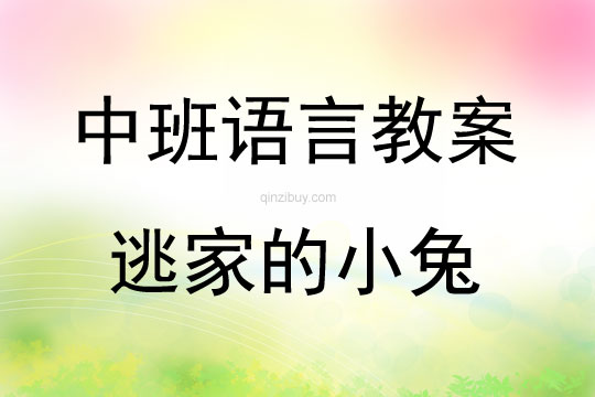 中班語言活動逃家的小兔教案反思