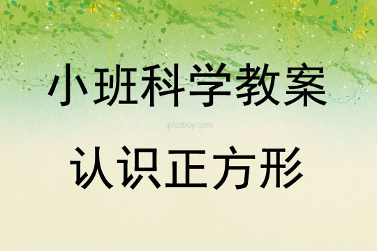 小班科學活動設計認識正方形教案反思