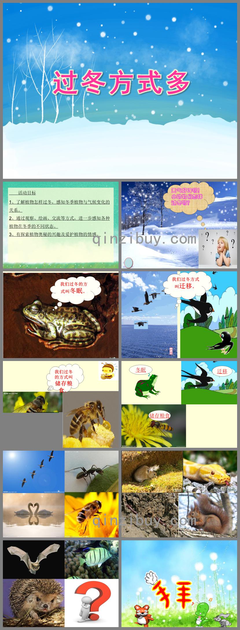 大班科學活動過冬方式多PPT課件