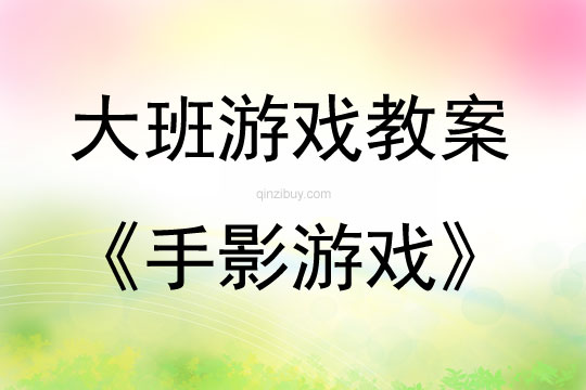 大班兒歌手影游戲教案反思