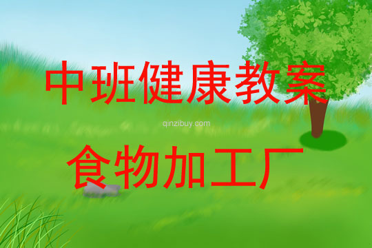 中班健康食物加工廠教案