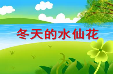 中班科學(xué)活動(dòng)冬天的水仙花PPT課件