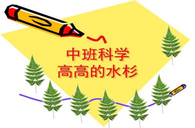中班科學(xué)高高的水杉PPT課件