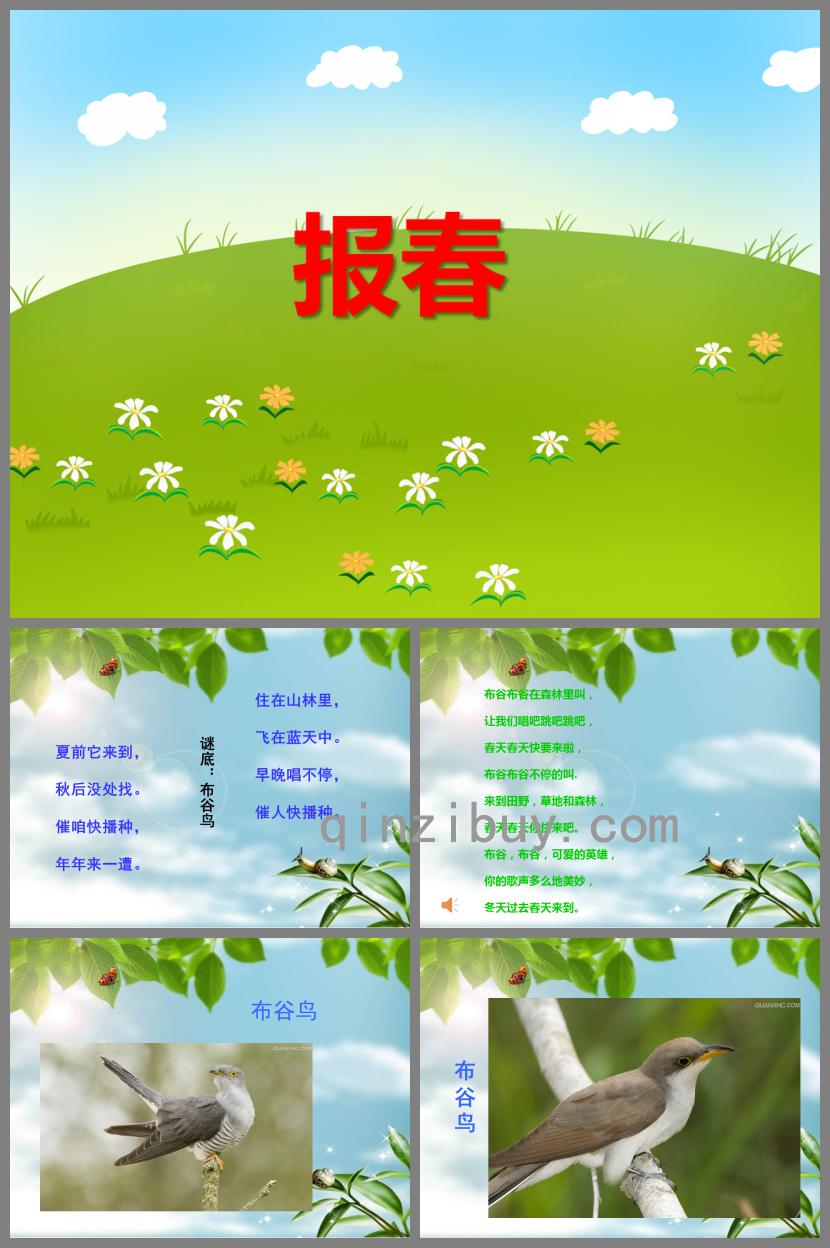 中班音樂報春PPT課件