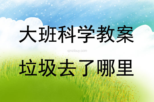 大班科學垃圾去了哪里教案反思