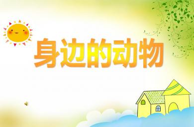 中班科學(xué)身邊的動(dòng)物PPT課件