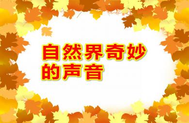 中班語言自然界奇妙的聲音PPT課件音頻