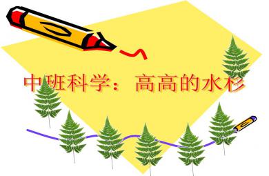 中班科學(xué)活動(dòng)高高的水杉PPT課件