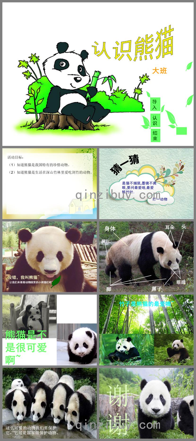 小班科學認識熊貓PPT課件
