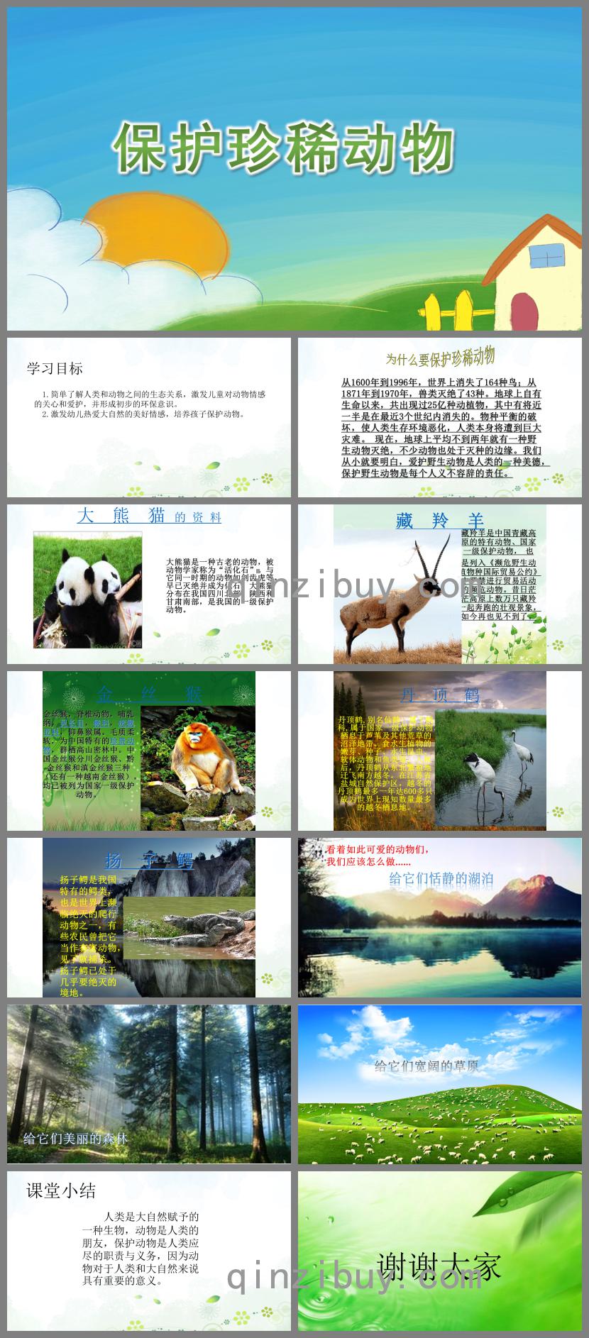 大班社會保護珍稀動物PPT課件