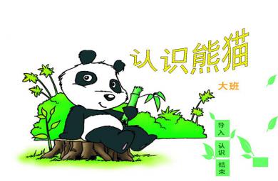 小班科學認識熊貓PPT課件