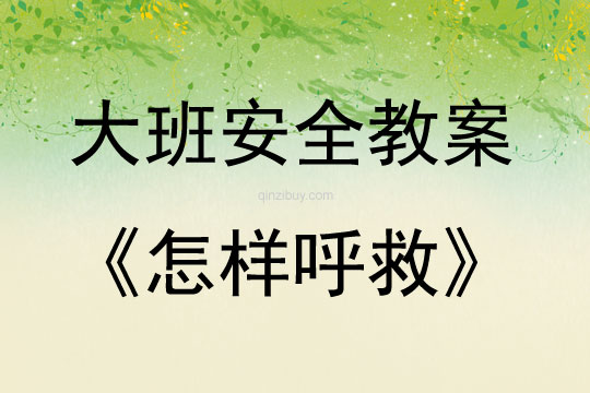 大班安全怎樣呼救教案反思