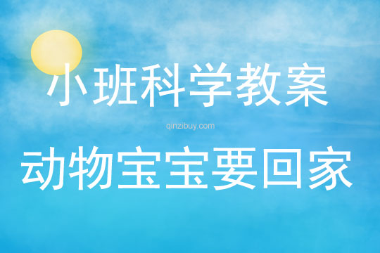 小班科學領域數學活動動物寶寶要回家教案