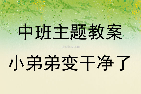 中班主題小弟弟變干凈了教案反思