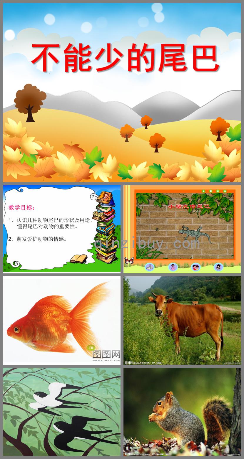 小班科學不能少的尾巴PPT課件