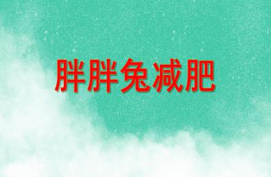 中班語言活動胖胖兔減肥PPT課件