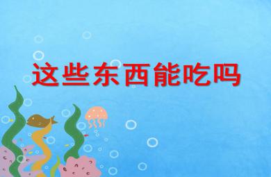 中班安全教育這些東西能吃嗎PPT課件