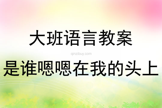 大班故事繪本是誰嗯嗯在我的頭上教案反思
