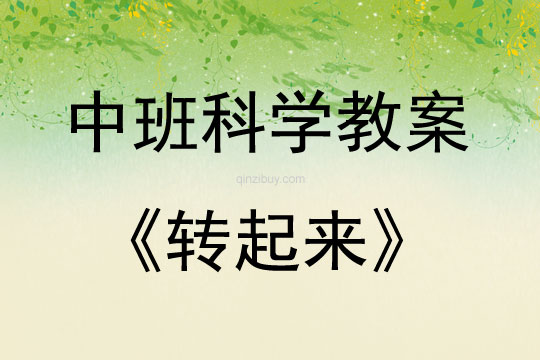 中班下期科學探索活動轉起來教案反思
