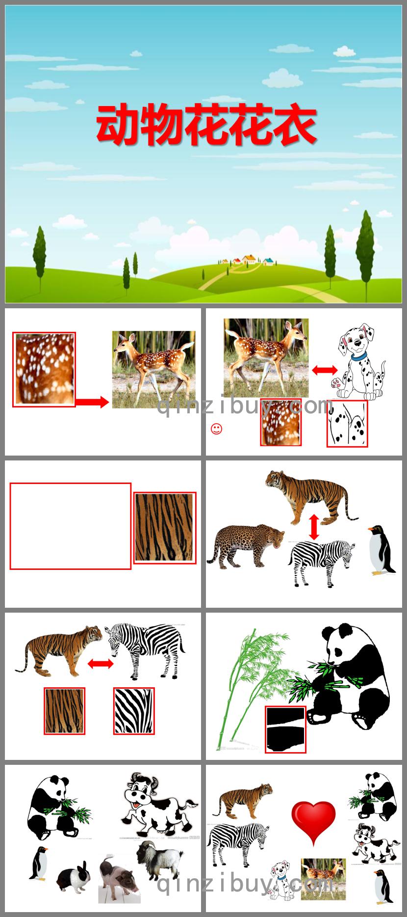 小班科學優質課動物花花衣PPT課件