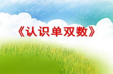 大班數學計算認識單雙數PPT課件