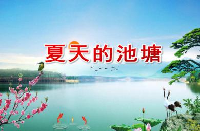 大班數學夏天的池塘PPT課件