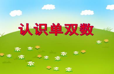 中班數學活動認識單雙數PPT課件