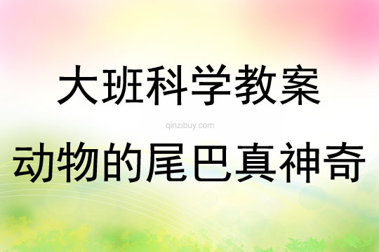 大班科學活動動物的尾巴真神奇教案反思