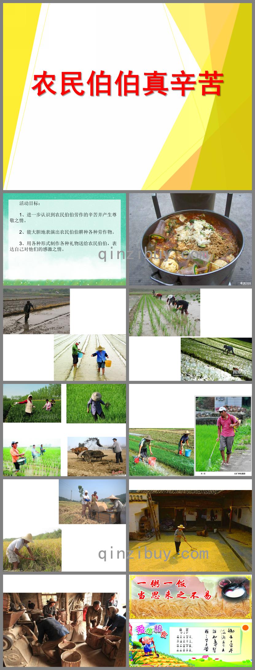大班社會活動農民伯伯真辛苦PPT課件