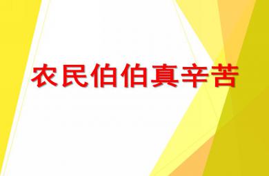 大班社會活動農民伯伯真辛苦PPT課件