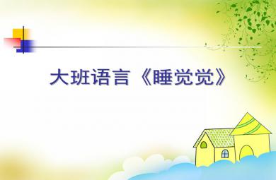 大班語言睡覺覺PPT課件