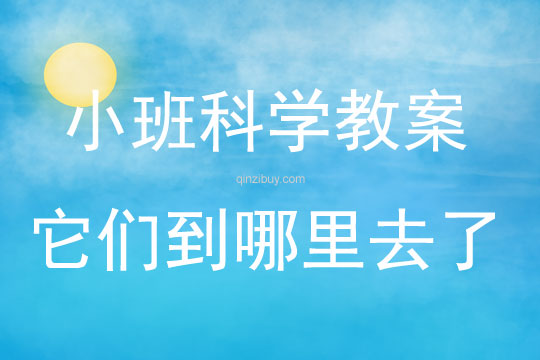 小班科學它們到哪里去了教案
