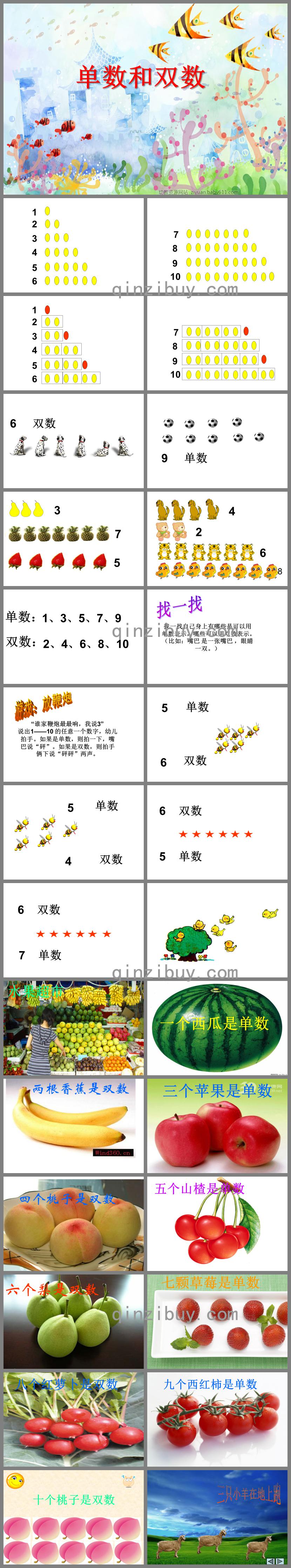 大班數學單數和雙數PPT課件