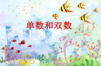 大班數(shù)學(xué)單數(shù)和雙數(shù)PPT課件