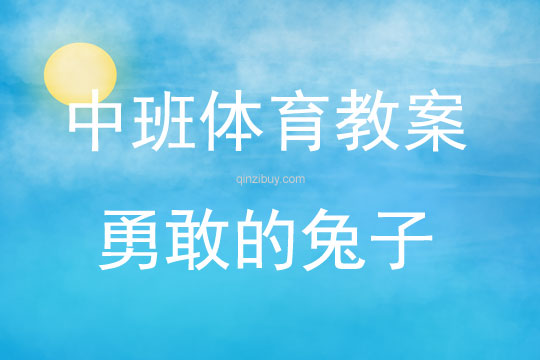 中班體育活動勇敢的兔子教案反思