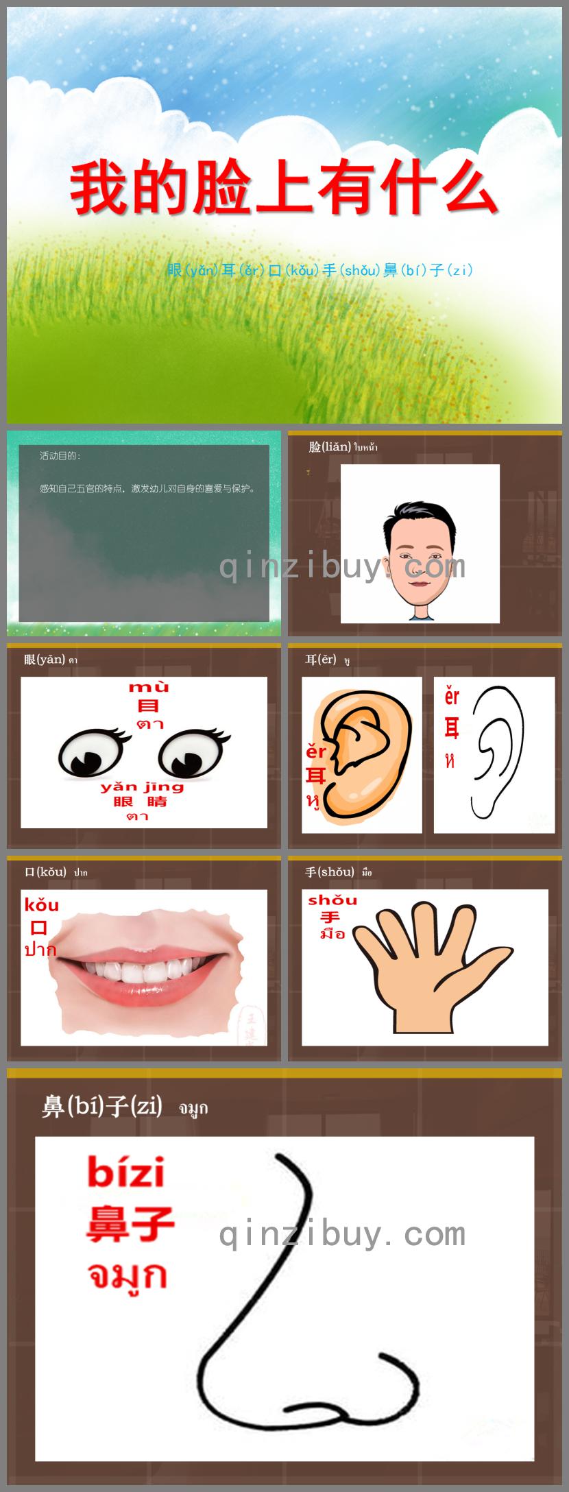 小班科學活動我的臉上有什么PPT課件